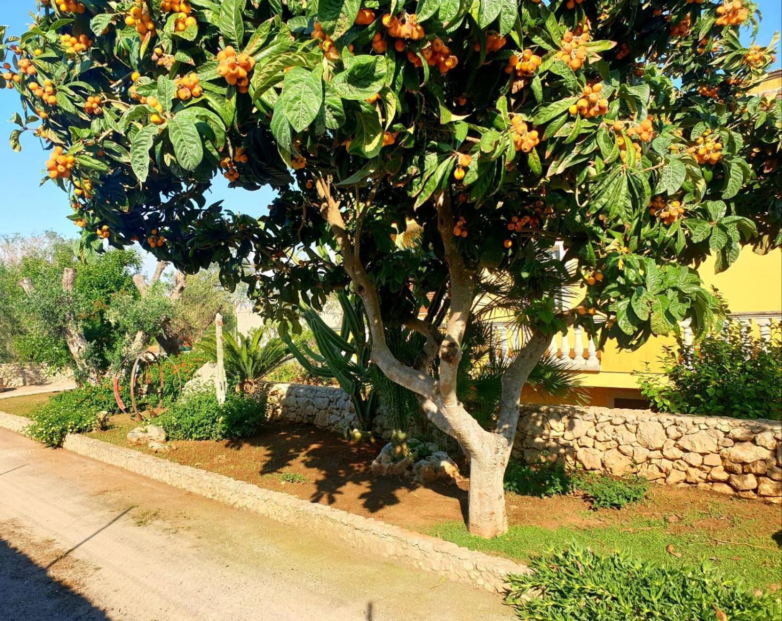 Villa Sargheruoli Monteroni di Lecce Kültér fotó
